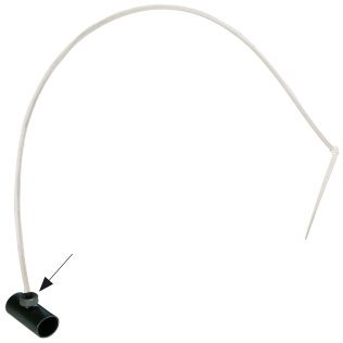 Chamäleon montiert mit PC Juniortropfer