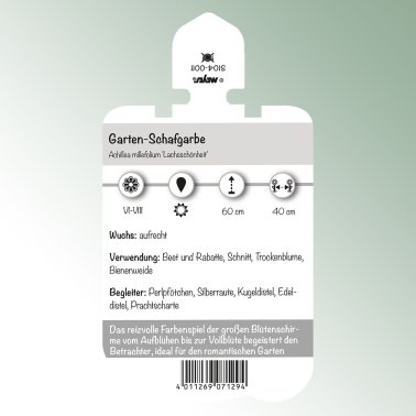 Bild Stecketiketten Stauden Achillea mill.'Lachsschönheit' Garten-Schafgarbe