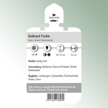 Bild Stecketiketten Stauden Hosta x fort. 'Aureomarginata' Goldrand-Funkie