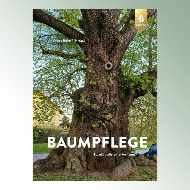 Entretien des arbres (éditeur : Andreas Roloff)