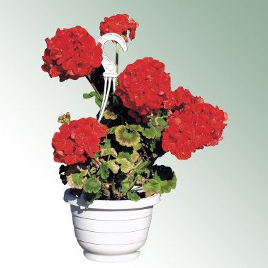 Verkeerslicht Komet 30 cm, wit, 38 stuks