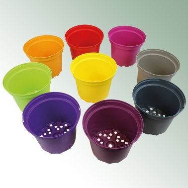 SX Container 7,5 l, Netz = 70 Stück mit Etikettenschlitz