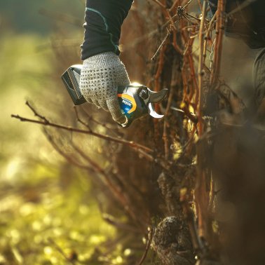 PELLENC Akku-Schere C3X mit Akku ALPHA LITE