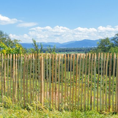 Staket av äkta kastanj, 1,0 x 5,0 m