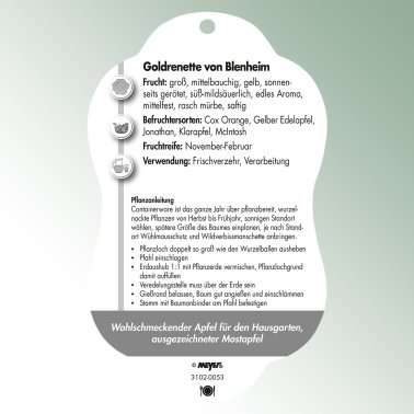 Bild Hängeetiketten Comfort Malus domestica Apfel Goldrenette von Blenheim