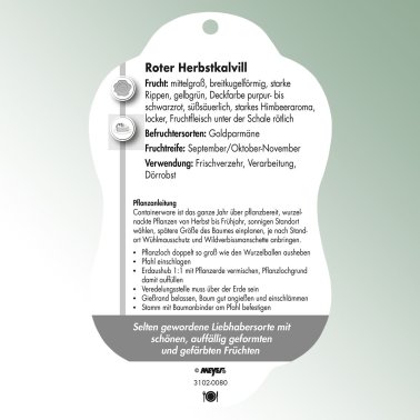 Bild Hängeetiketten Comfort Malus domestica Apfel Roter Herbstkalvill