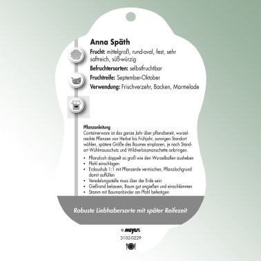 Bild Hängeetiketten Comfort Prunus domestica Pflaume Anna Späth