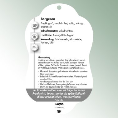 Bild Hängeetiketten Comfort Prunus armeniaca Aprikose Bergeron