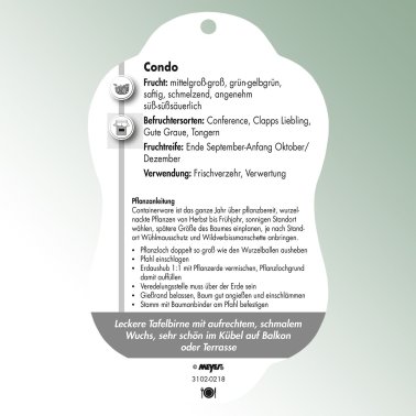 Bild Hängeetiketten Comfort Pyrus communis Birne Condo