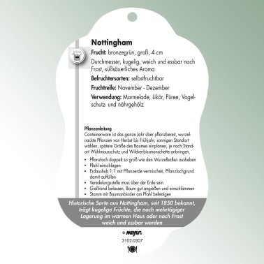 Image Hanging labels Comfort Mespilus germanica Medlar, grafted Nottingham