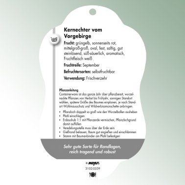 Bild Hängeetiketten Comfort Prunus persica Pfirsich Kernechter vom Vorge.