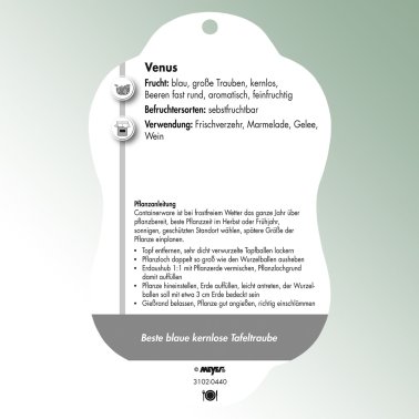 Bild Hängeetiketten Comfort Vitis vinifera Tafeltraube Venus