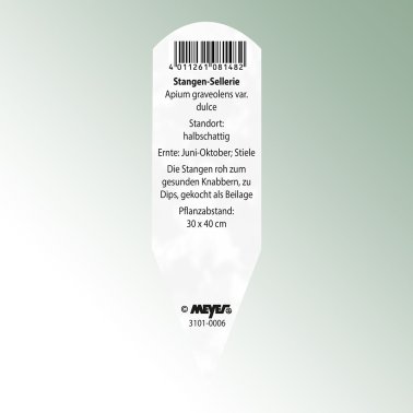 Bild Stecketiketten Favorit Apium grav. var. dulce Stangen-Sellerie
