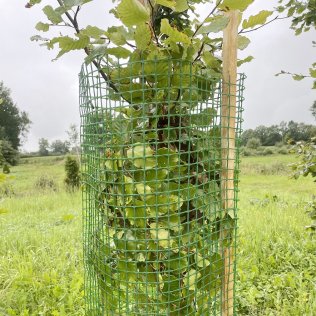 GROWtect Wuchsgitter 500, 120 cm, 50 Stück