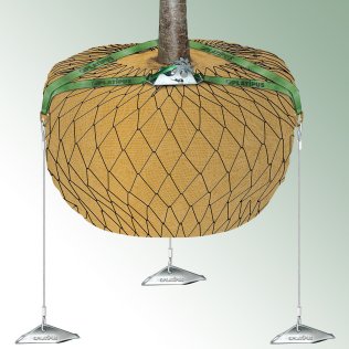 Platipus Baumverankerungsset SPEZIAL-GURTBAND
