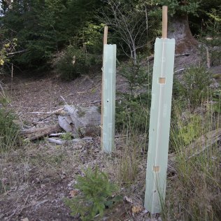 GROWtect Microvent Wuchshülle