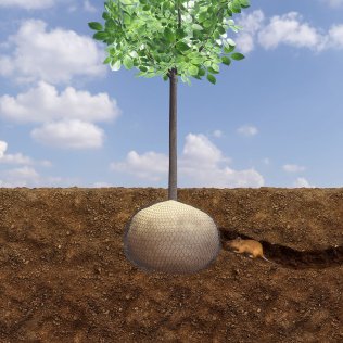 GROWtect Wühlmausschutz (Karo)