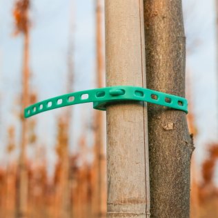 Orbit Super Flex lang, 31 cm, braun, 60 Stück