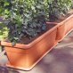 Blumenkasten Ducale 80, 80 x 37 x 32 cm, terracotta