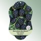 Bild Hängeetiketten Comfort Rubus fruticosus Dornenlose Brombeere Navaho®