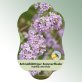 Bild Hängeetiketten Laub Buddleja alternifolia Schmalblättriger Sommerflieder