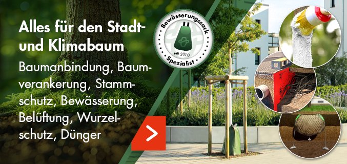 Footerpromo-Stadtbaum-DE