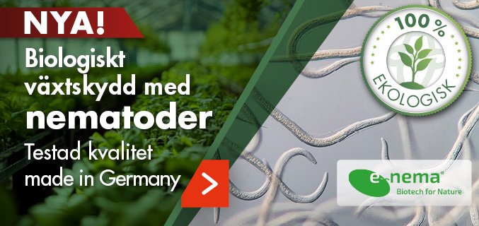 Footerpromo-Nematoden-SE