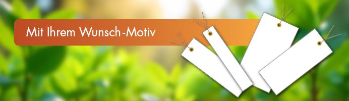 page-Etiketten-MeyerHaengeetikett-Header