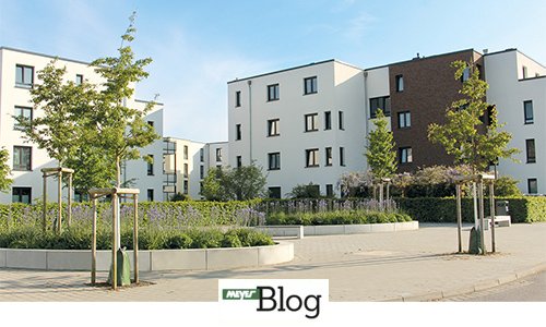 Blogvorschau-ThermRindenschutz-500x300