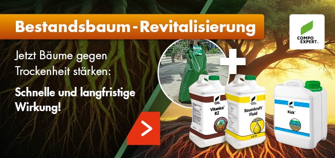 Footerpromo-Bestandsbaum Revitalisierung-DE