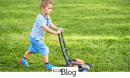 Blog-Rasensaat die Mischung machts-Banner