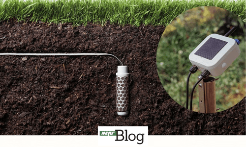 Blog-Sensortechnik in der Baumpflege-Banner