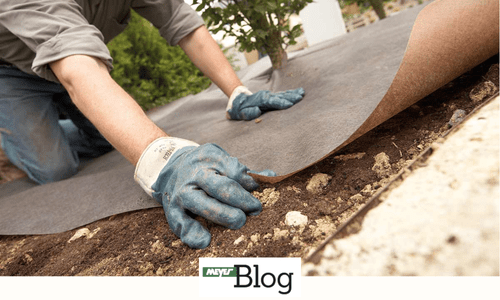 Blog-Plantex Unkrautvliese im Vergleich-Banner