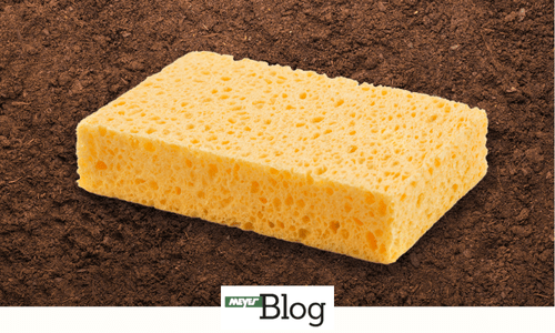 Blog-Wie funktionieren Bentonit und Holzkohle-Banner