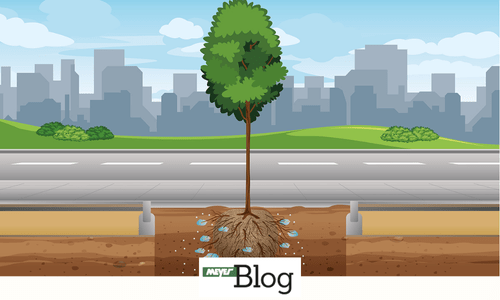 Blog-Wasser und Naehrstoffe-Banner